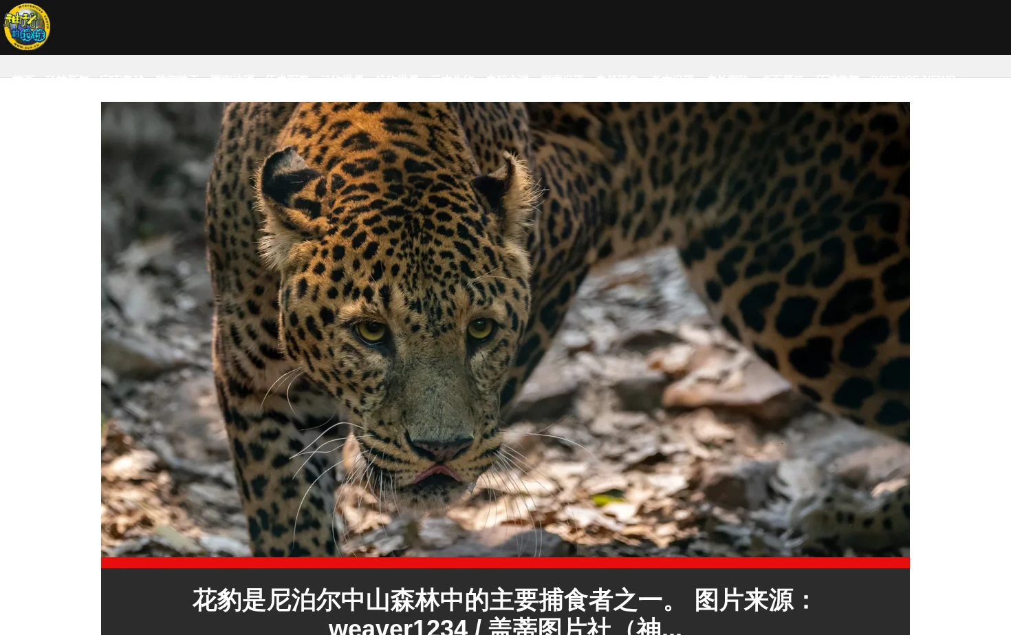 神秘的地球 科学 页面快照